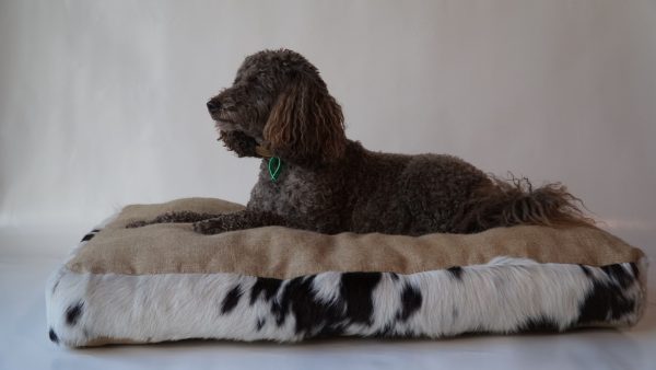 Cabo Dog Bed